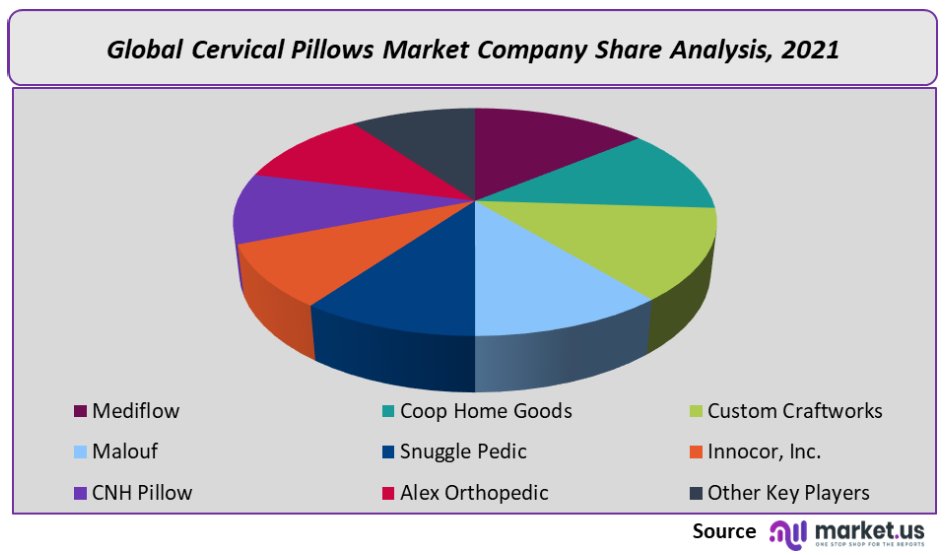 Cervical Pillows Market Company Share