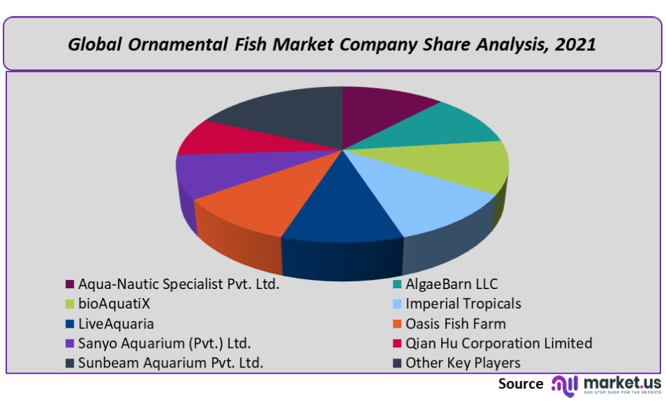 Ornamental Fish Market Company Share