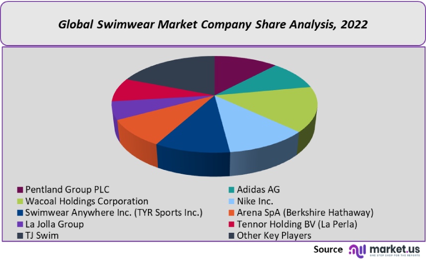 swimwear market company analysis