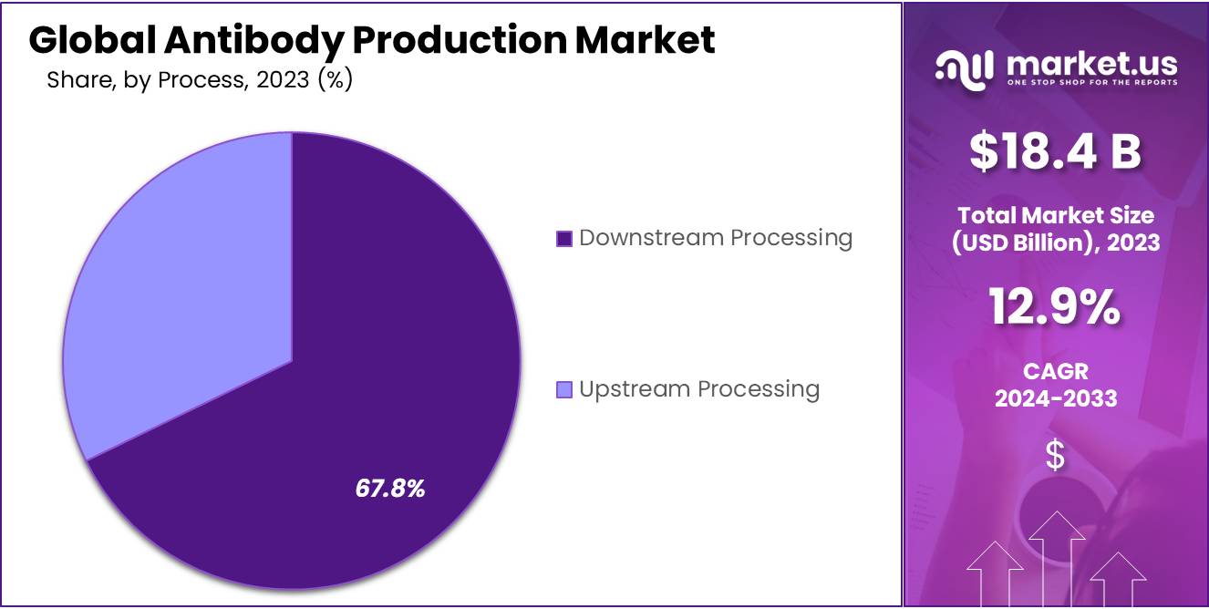 Antibody Production Market Size