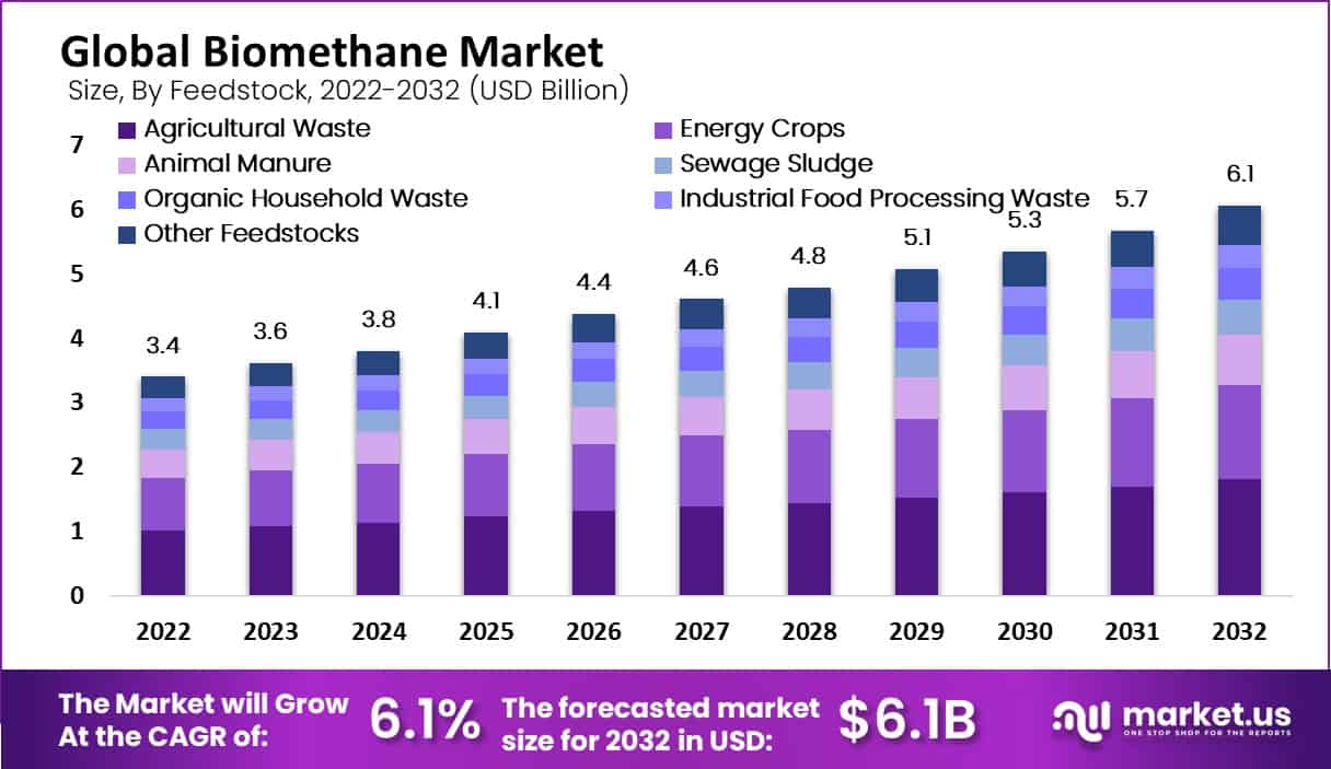 biomethane market feedstock analysis