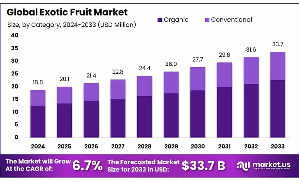 Exotic Fruit Market