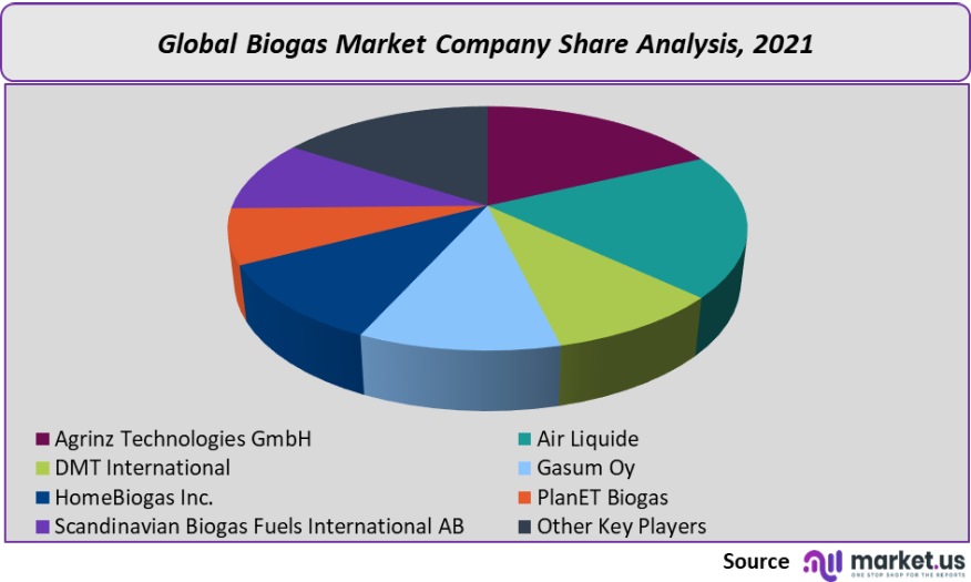 biogas market company share analysis 2