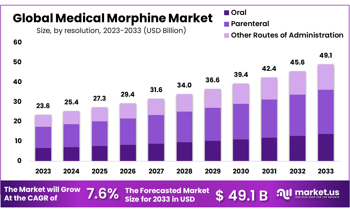 Medical Morphine Market Size