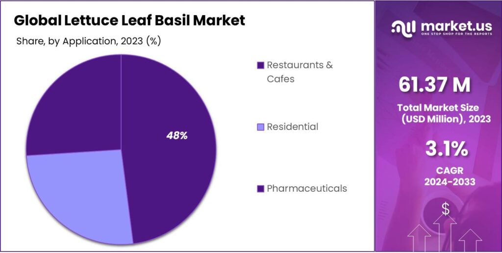 Lettuce Leaf Basil Market Share