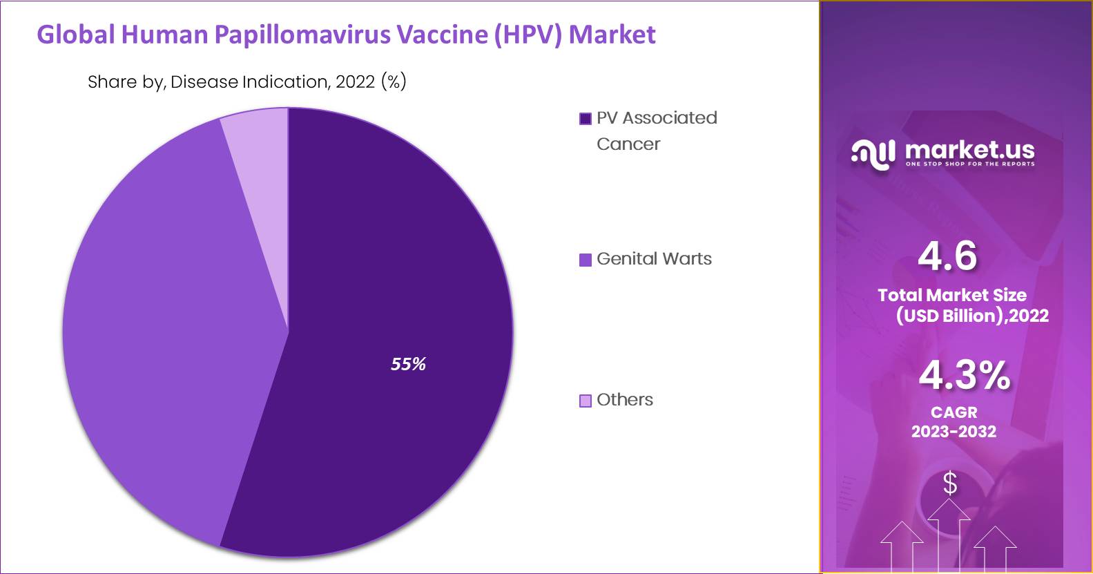 Human Papillomavirus (HPV) Vaccine Market share