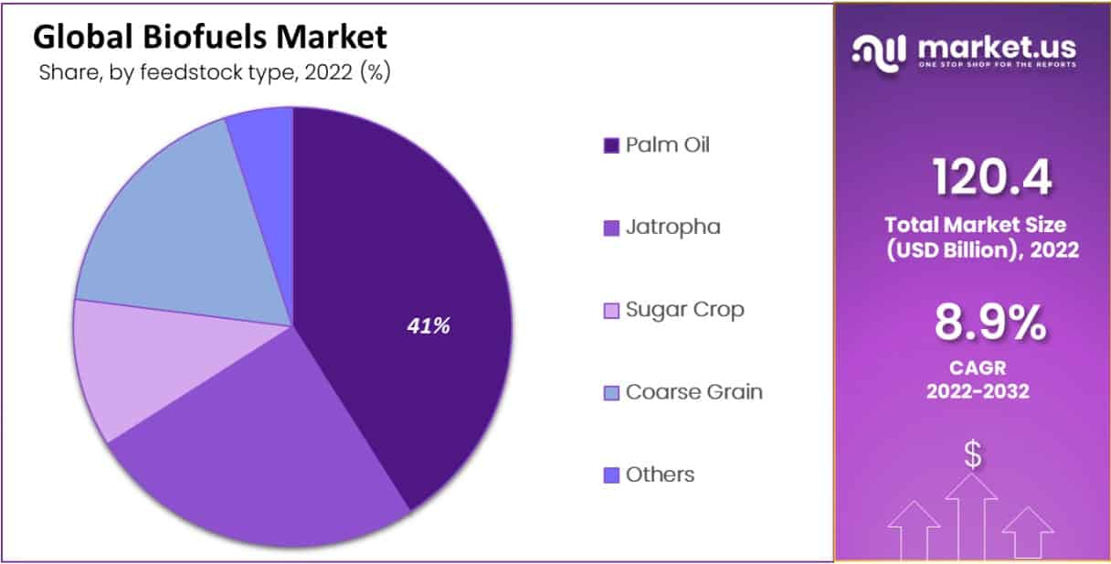 biofuels market feedstock type analysis