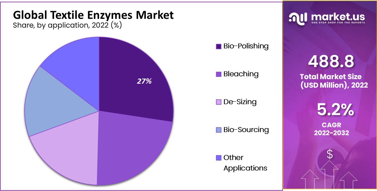Textile Enzymes Market share