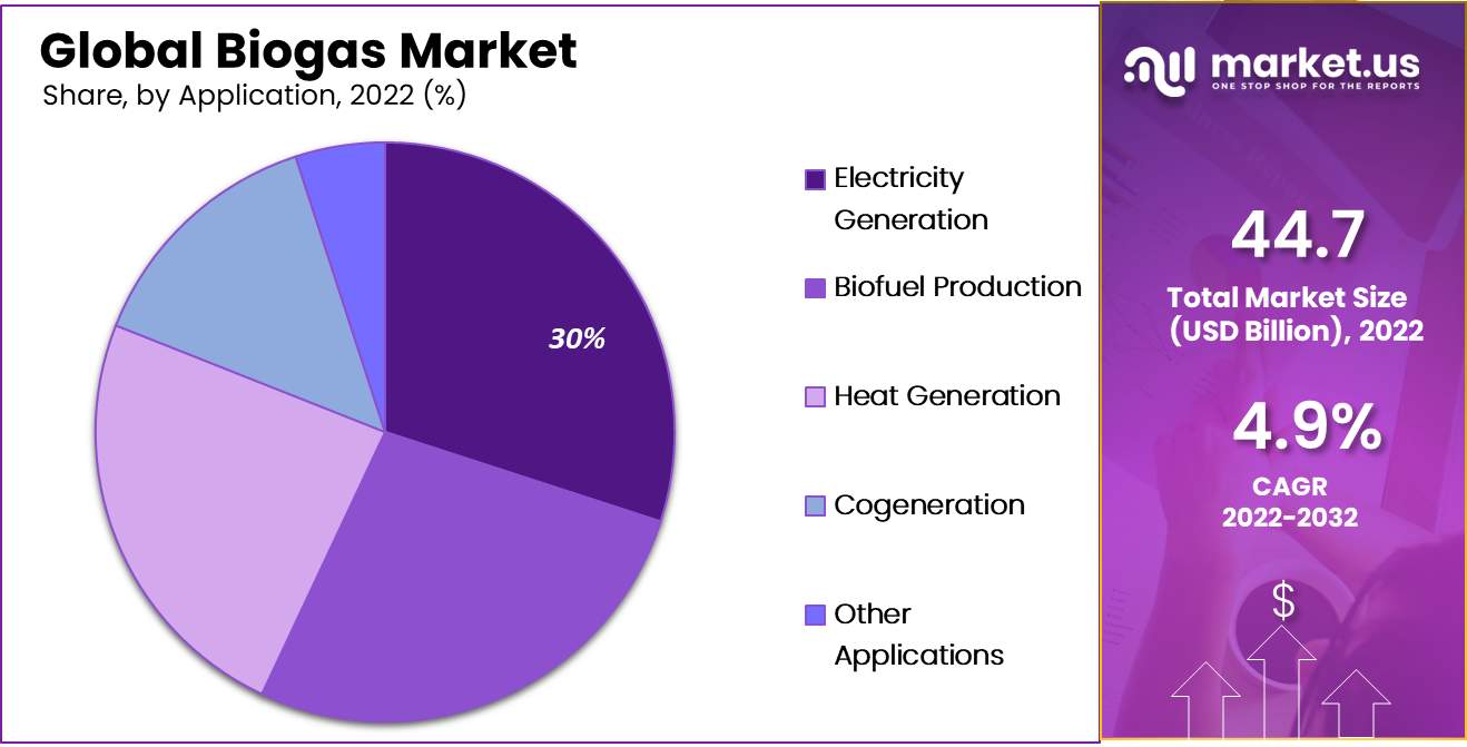 biogas market by application