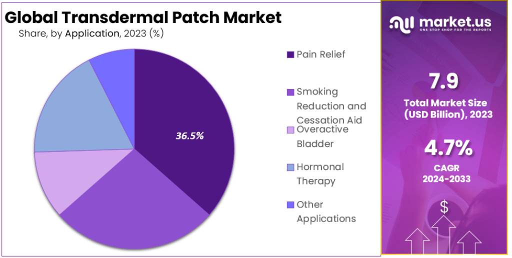 Transdermal Patch Market Segmentation