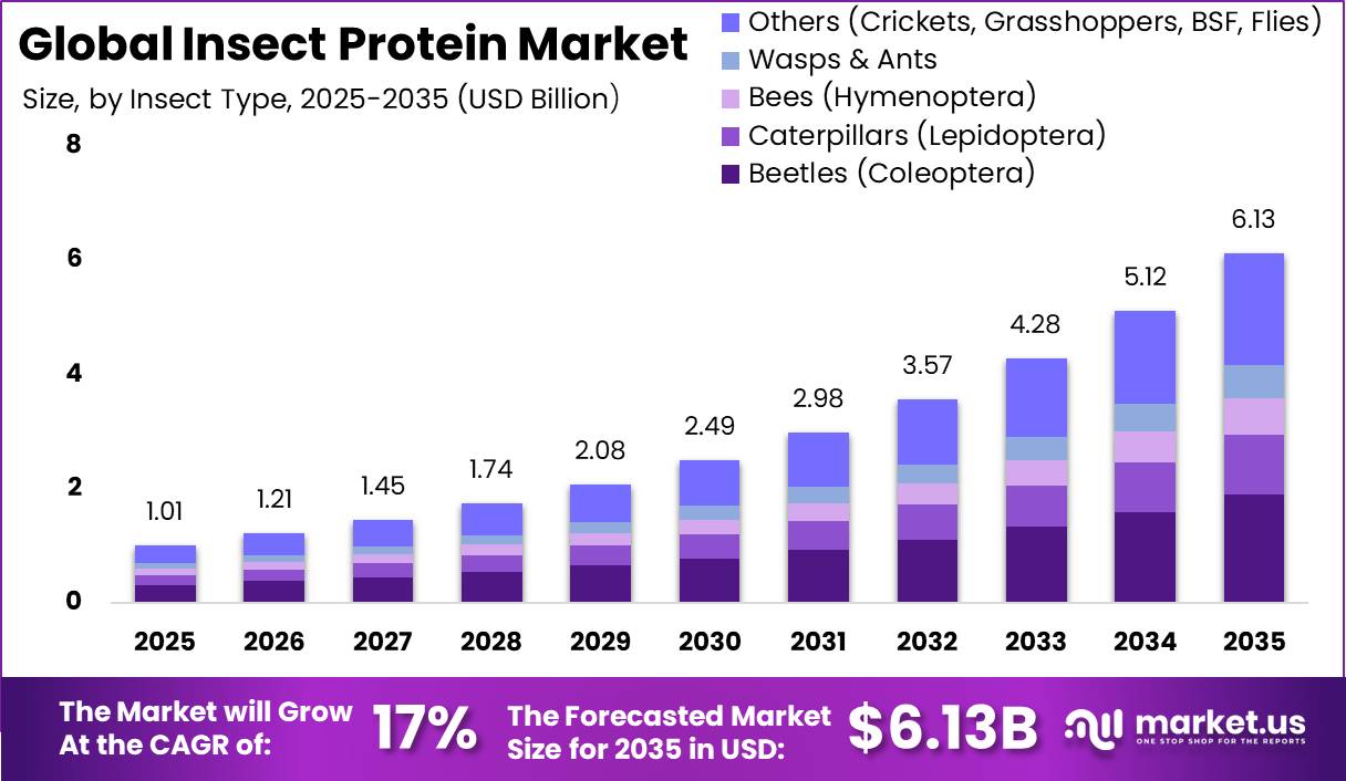 Global Insect Protein Market Market Size Projection Graph 2025