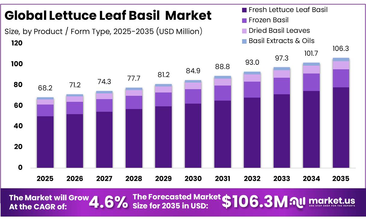 Lettuce Leaf Basil Market