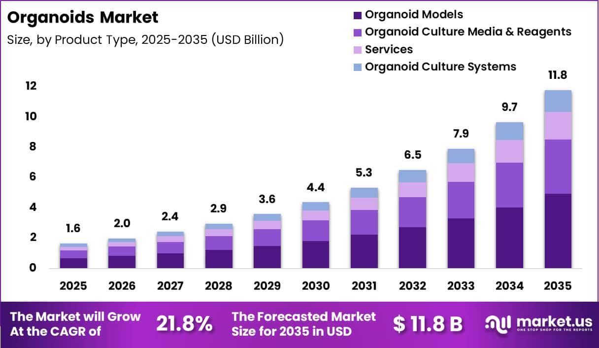Organoids Market Size