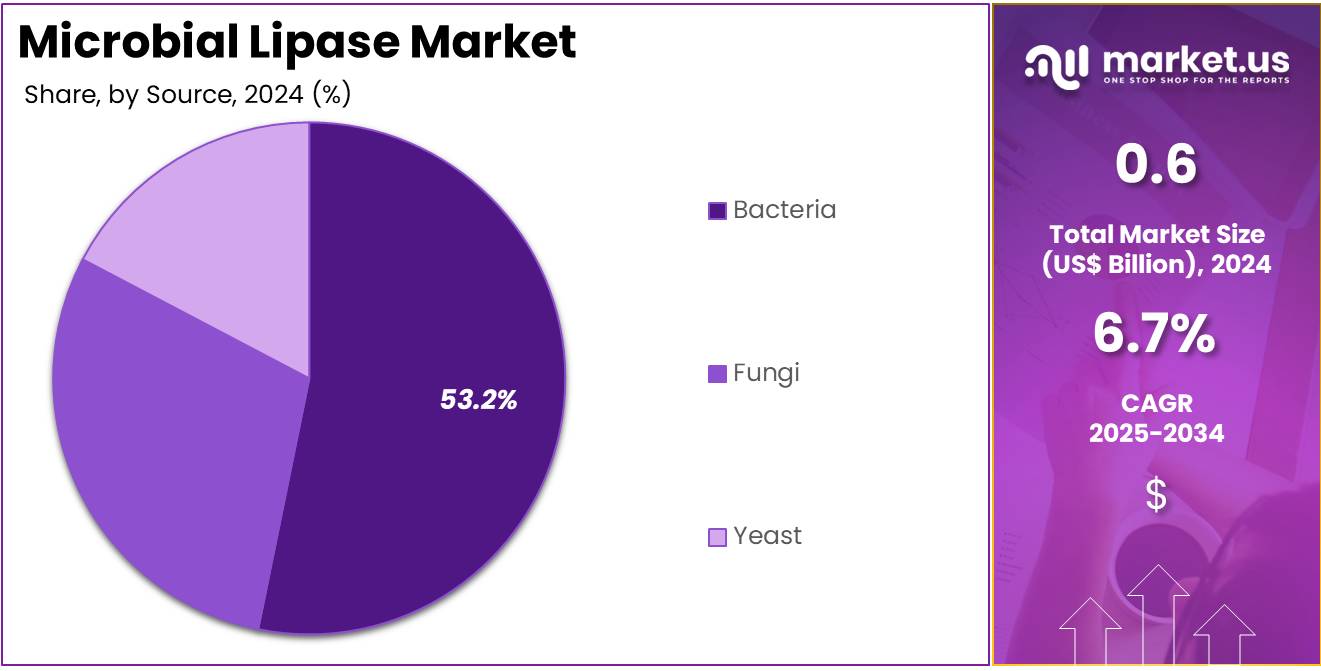 Microbial Lipase Market Share