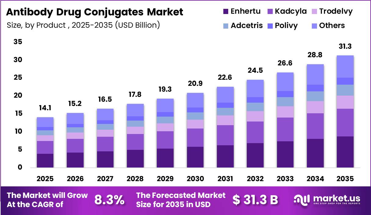 Antibody Drug Conjugates Market Size