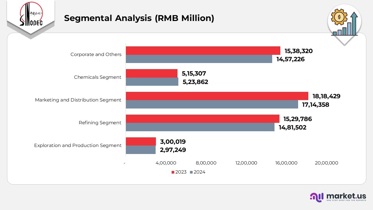 Segmental Analysis