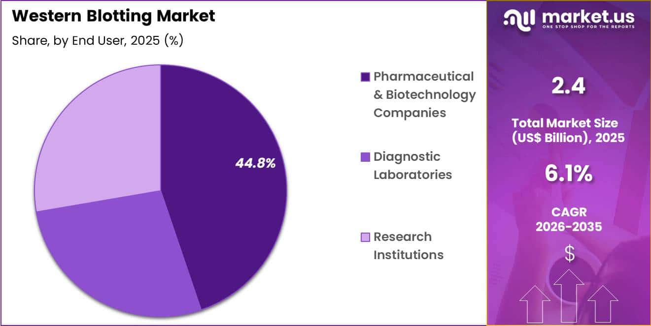 Western Blotting Market Share