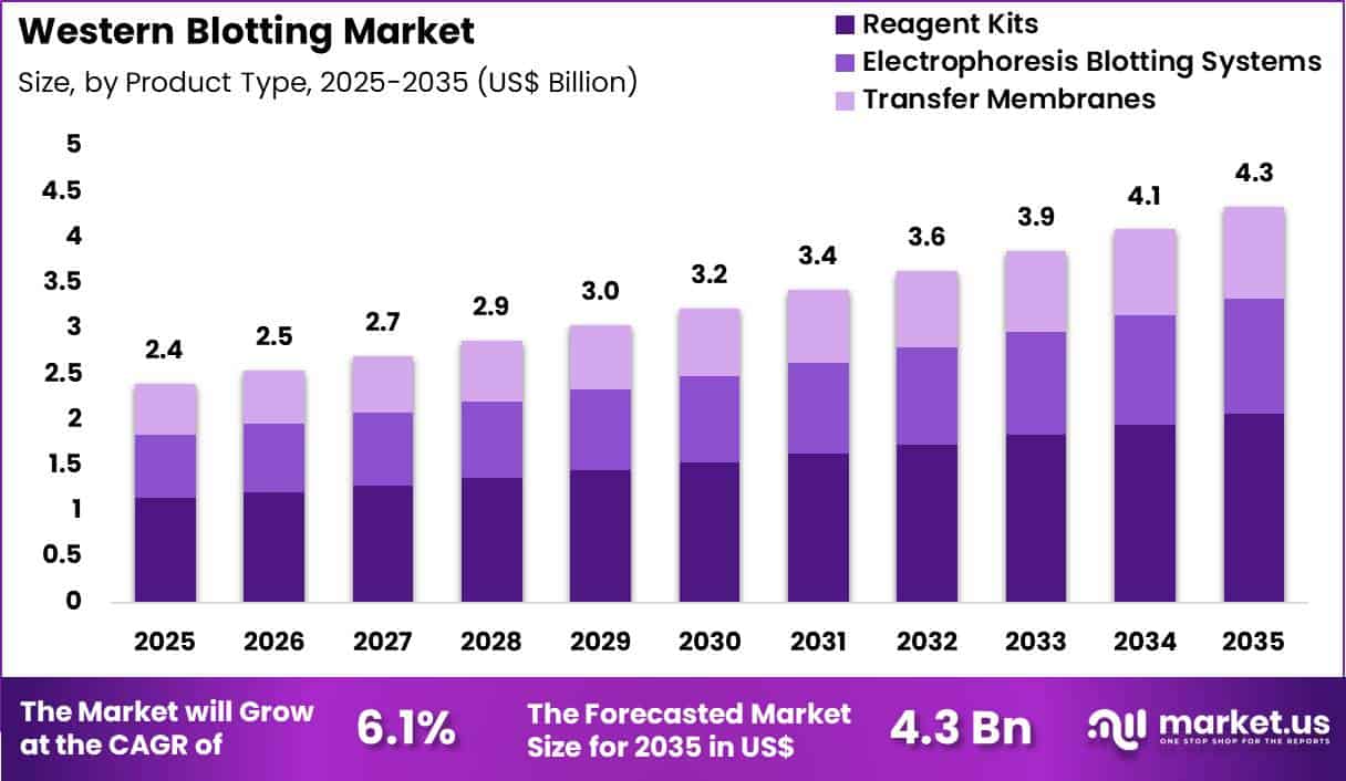 Western Blotting Market Size