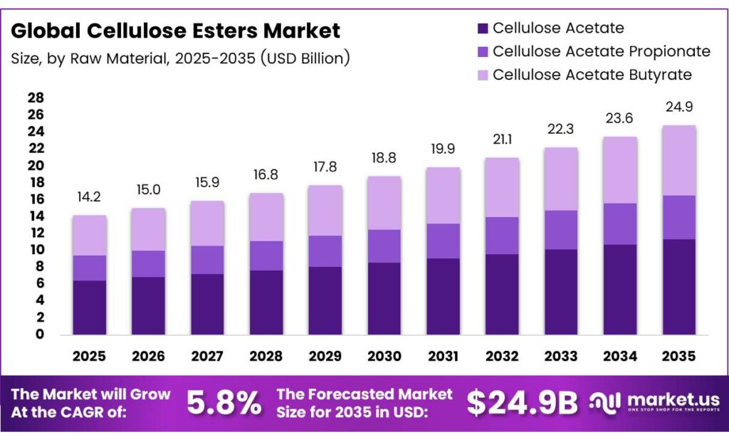 Cellulose Esters Market