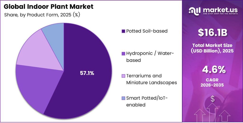 Indoor Plant Market Share