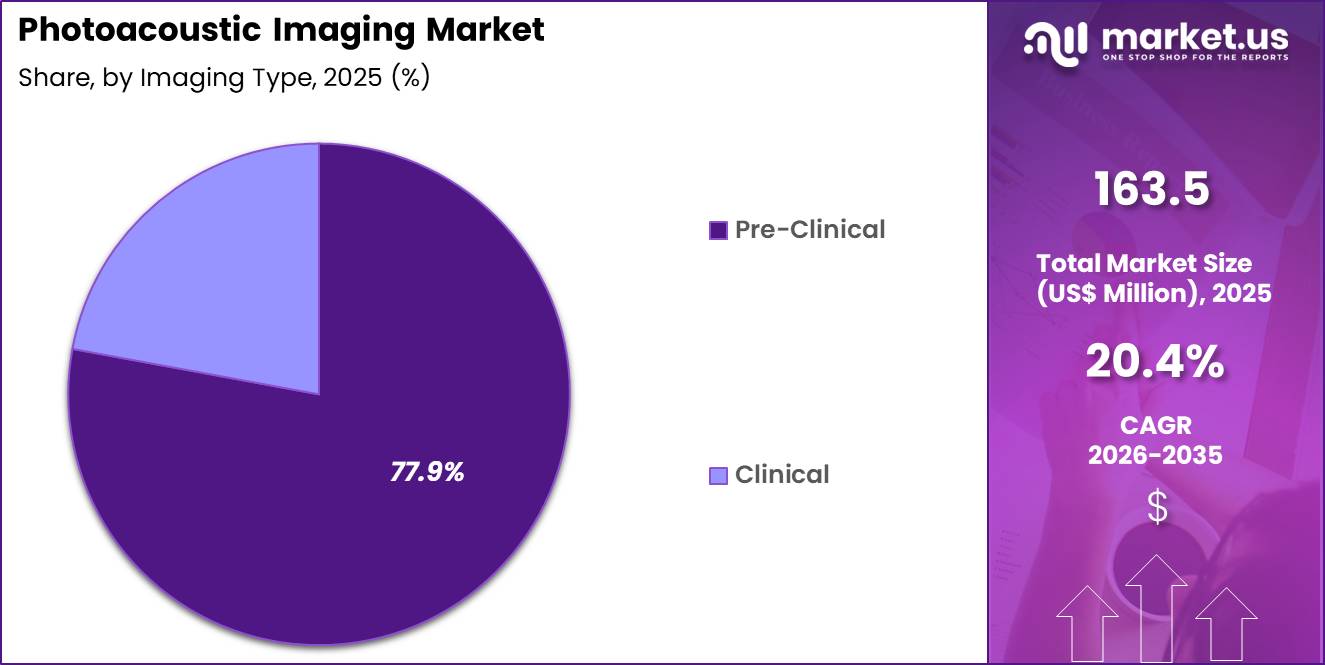 Photoacoustic Imaging Market Share