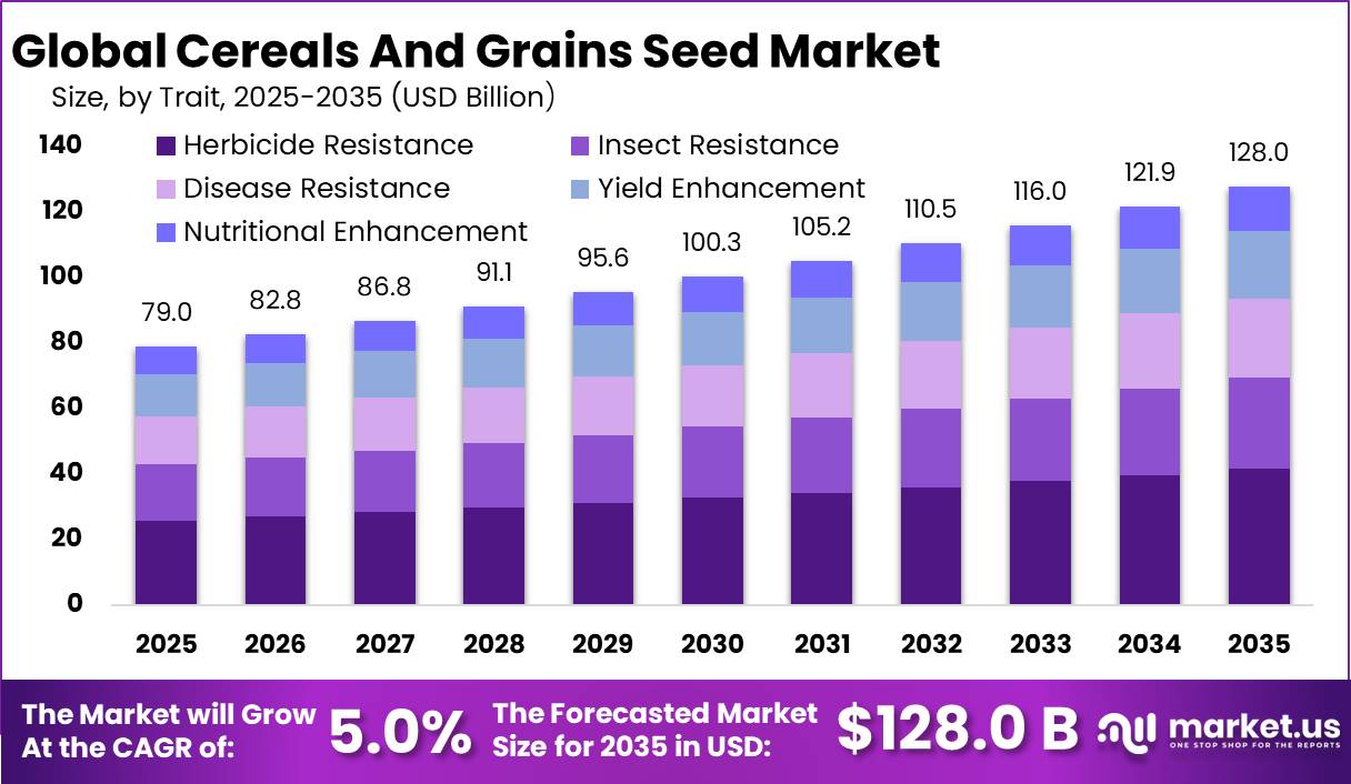 Cereals And Grains Seed Market