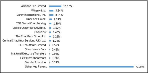 Key Players Share Analysis