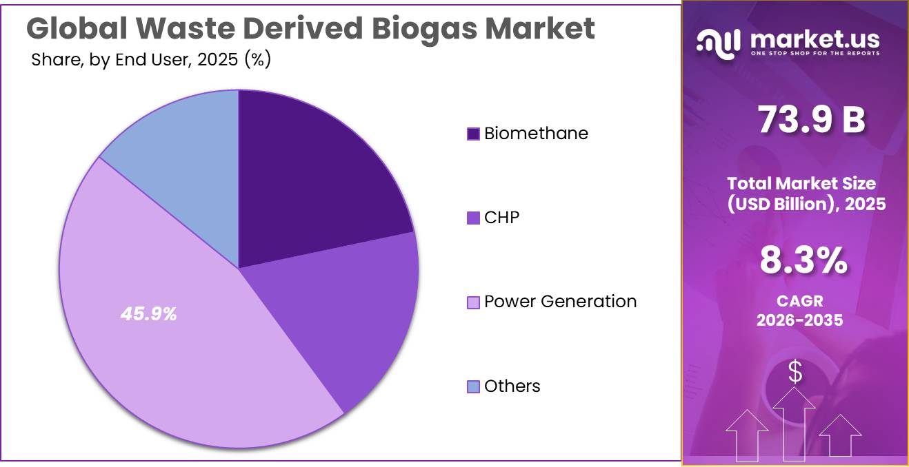 Waste Derived Biogas Market Share