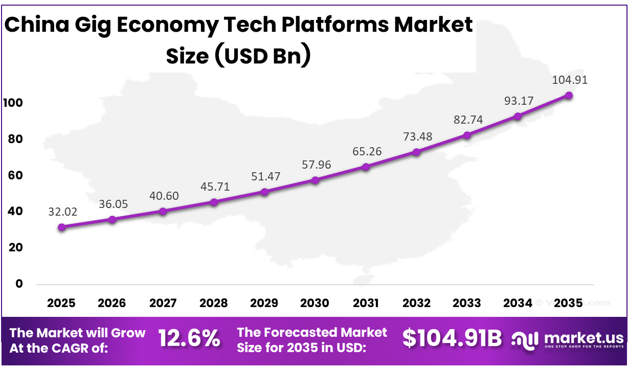 China Gig Economy Tech Platforms Market Size