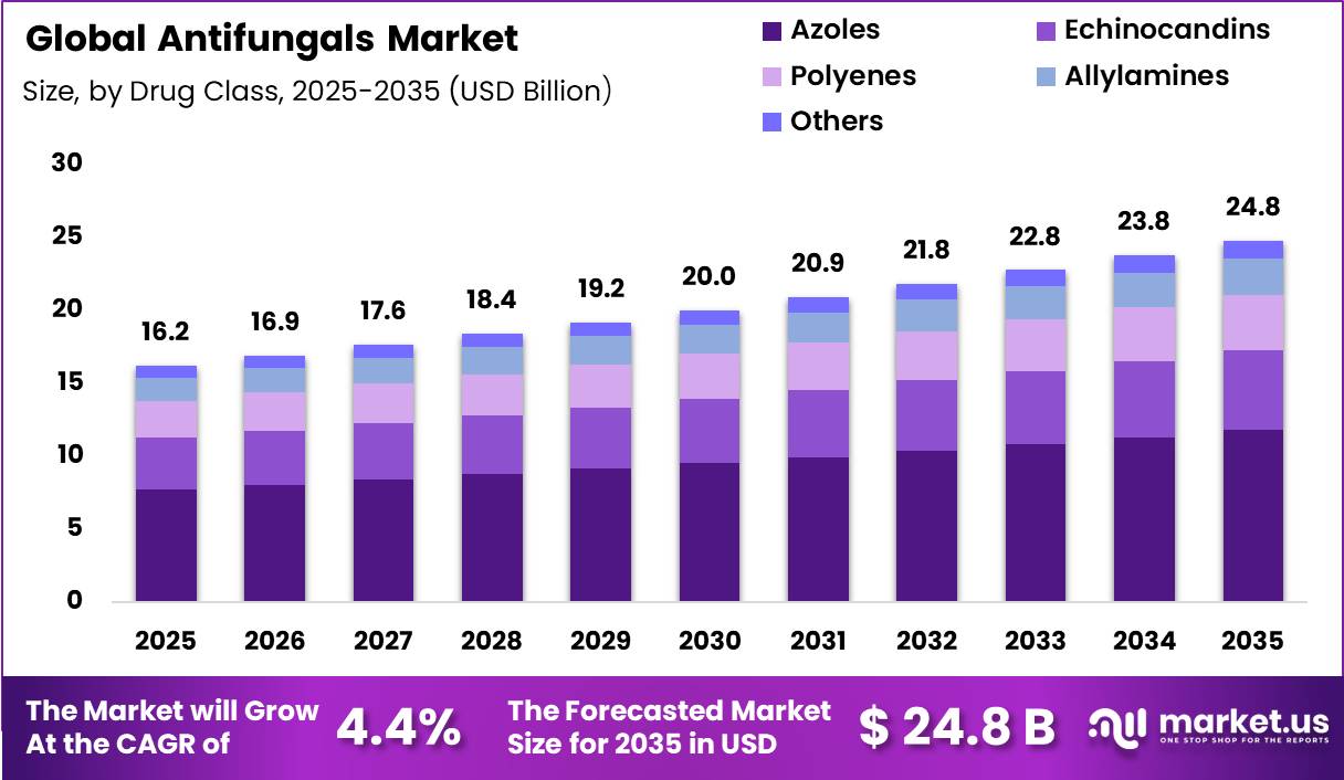 Antifungals Market Size