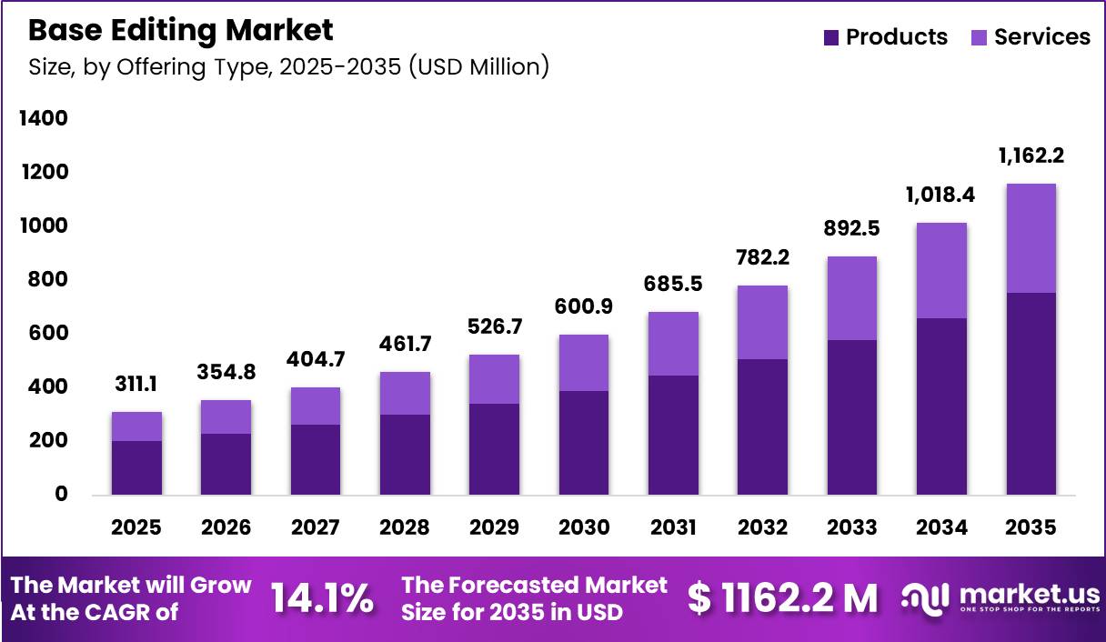 Base Editing Market Size