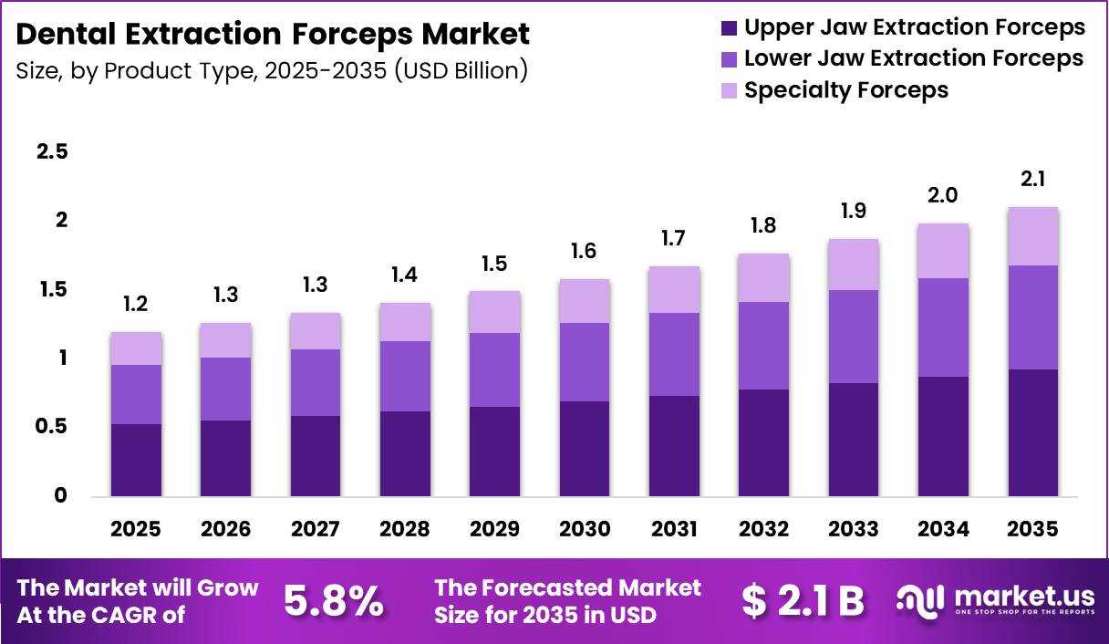 Dental Extraction Forceps Market Size