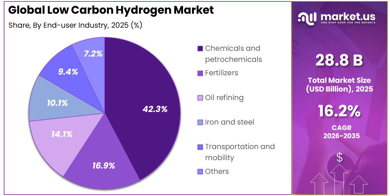 Low Carbon Hydrogen Market Share