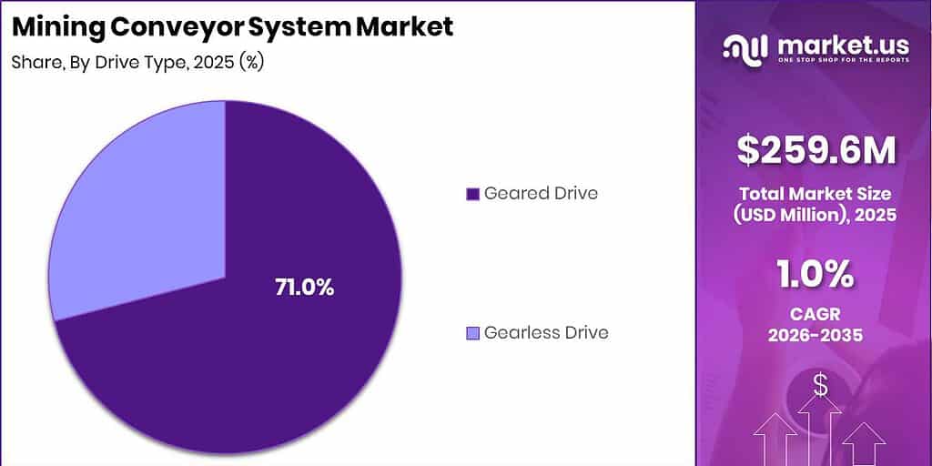 Mining Conveyor System Market Revenue Split by Segment Graph