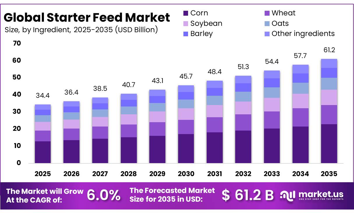 Starter Feed Market