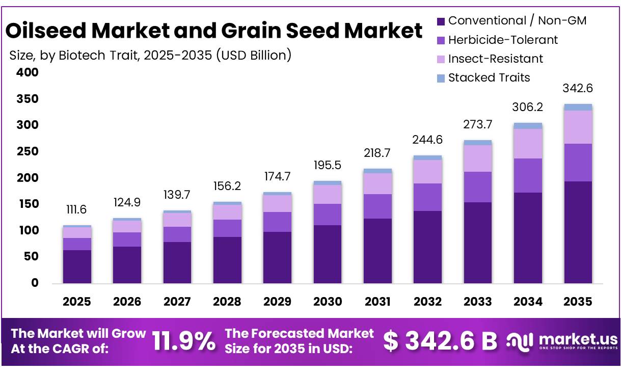Oilseed Market and Grain Seed Market